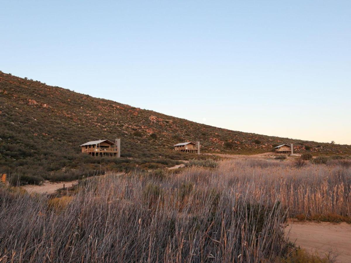 Вілла Africamps At Karoo 1 De Doorns Екстер'єр фото