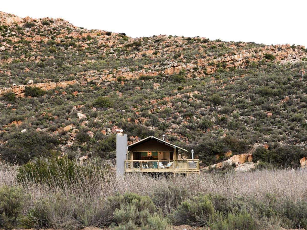 Вілла Africamps At Karoo 1 De Doorns Екстер'єр фото