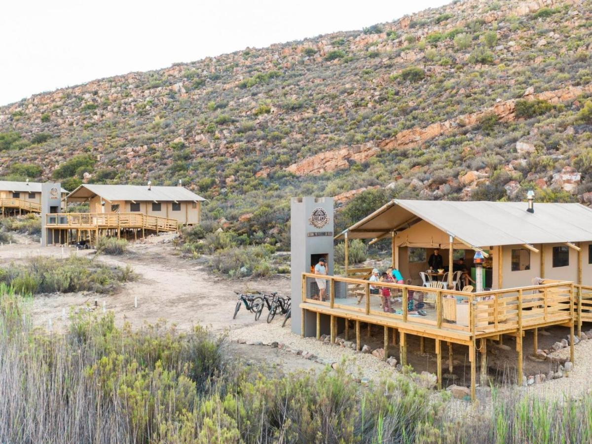 Вілла Africamps At Karoo 1 De Doorns Екстер'єр фото